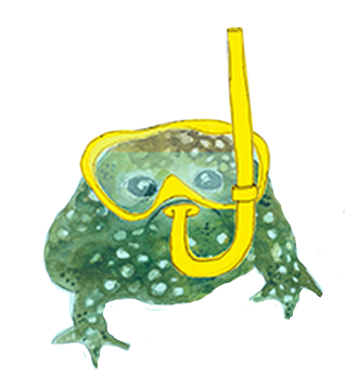 sad frog in rain